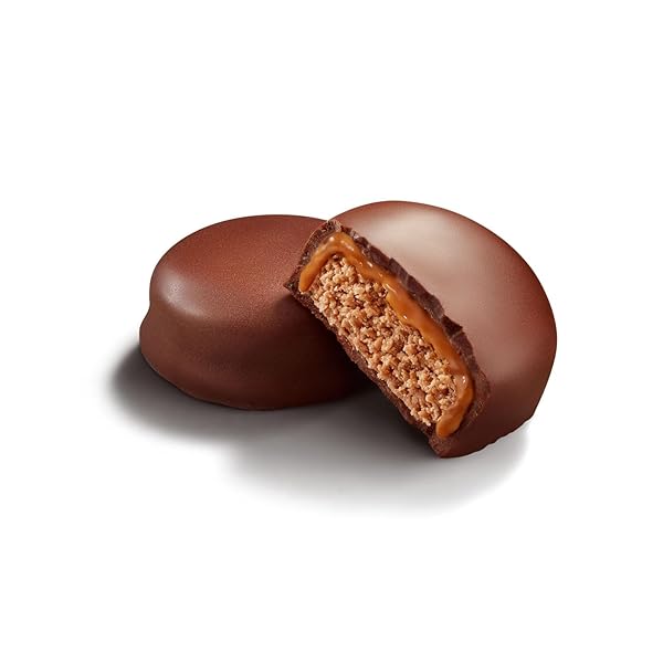 FULFIL PROTEIN SNACK BITES, CHOCOLATE SALTED CARAMEL FLAVORED, GLUTEN FREE WITH 16G PROTEIN PER SERVING, 7 BITES PER BAG (10 BAGS)