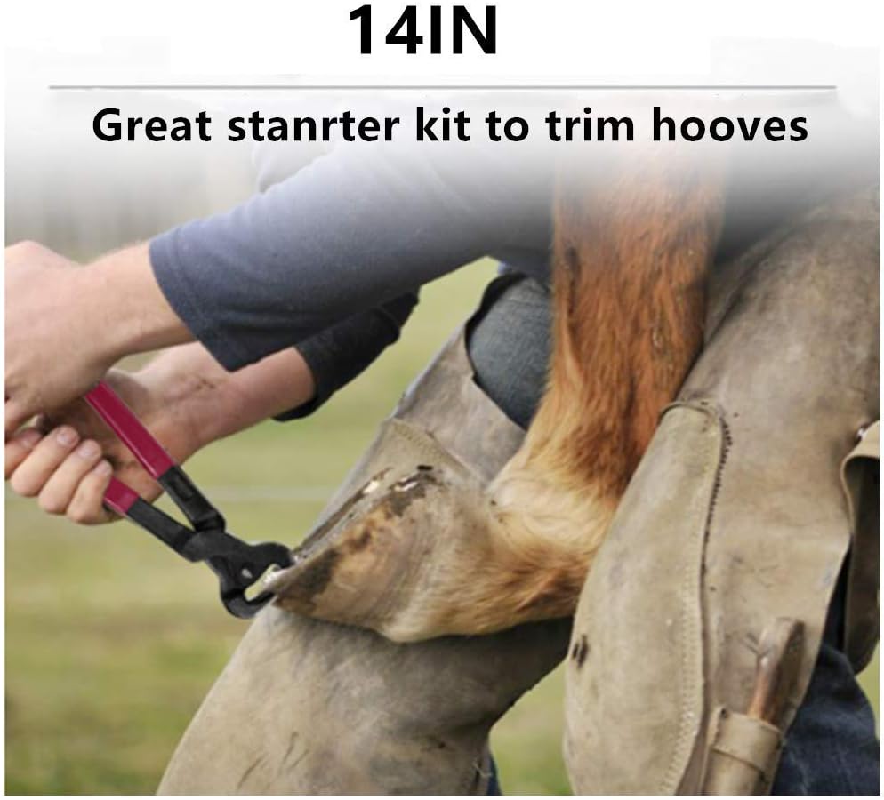 Download Amazon Com U N Farrier Tools Horses Hoof Trimmers Tools Rasp Hoof Cutter Set Suitable For Hoof Trimming For Horses Donkeys And The Repair Of Hard Hooves Of Large And Medium Animals Pet PSD Mockup Templates