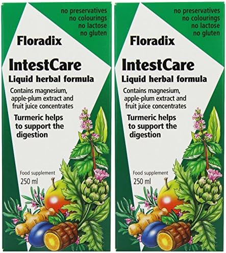 (2 PACK) - Salus Floradix Intestcare | 250ml | 2 PACK - SUPER SAVER - SAVE MONEY
