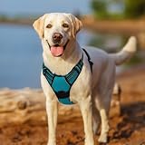 rabbitgoo Large Dog Harness No Pull Reflective Teal XL with Front Back Clips view 9