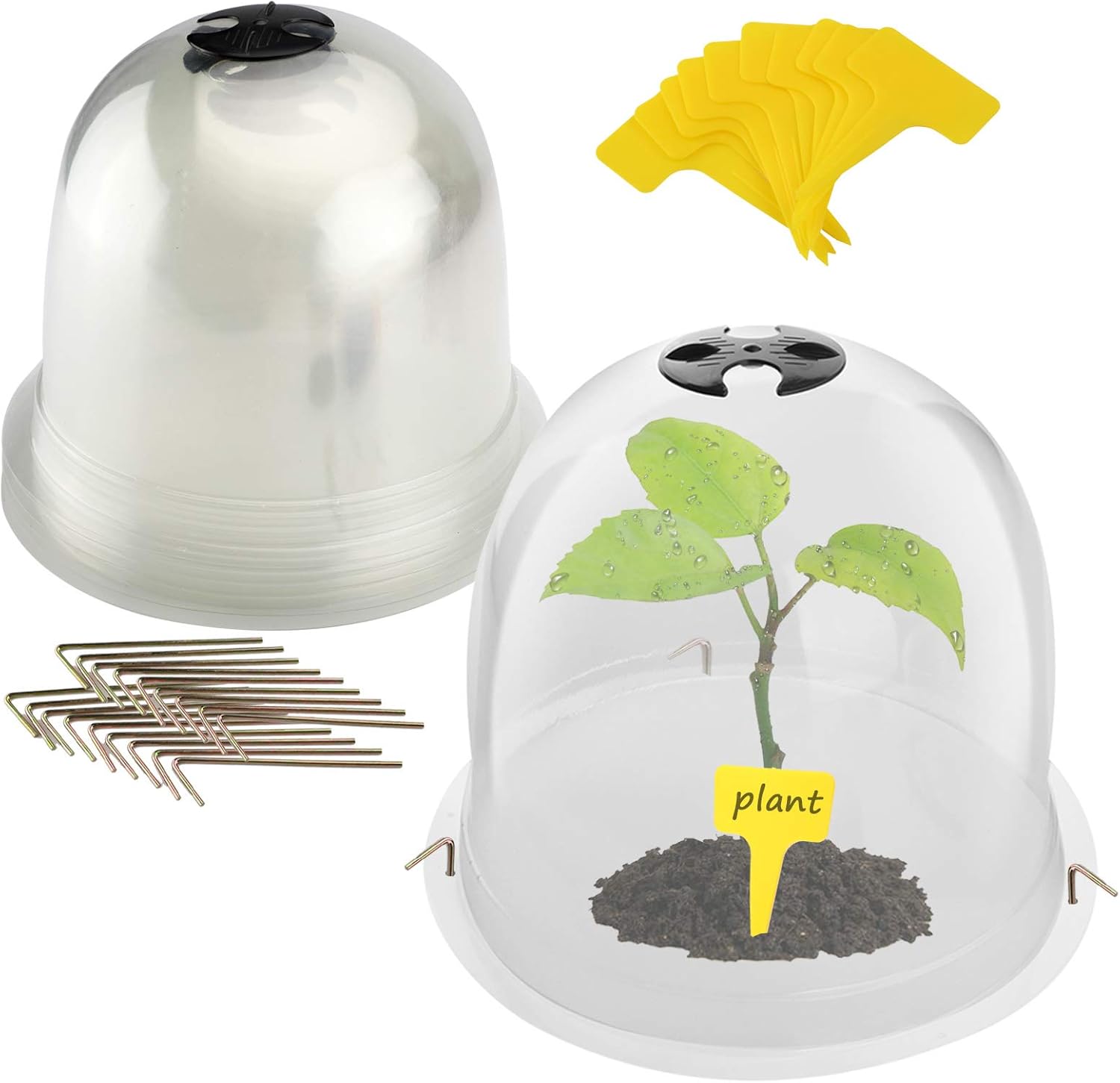 Opmeiro Protective Garden Cloche Reusable Plastic Plant Bell Cover Plant Protector Cover for Season extention with Ground Securing Pegs 6pack 10 x 8.27inch