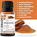 SenseLAB Cinnamon Essential - 100% Pure Extract Cinnamon Oil Therapeutic Grade - Outdoor Protection - Diffuse to Uplift Mood and Ease Tension (10 ml)