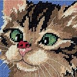Dimensions Needlepoint Kit, Cross Eyed Kitty Needlepoint, 5'' W x 5'' H