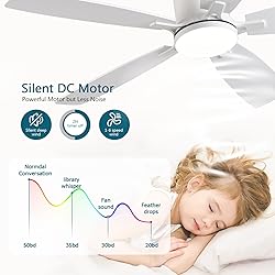 Ayaoty Ceiling Fans with Lights, 52 inch Low