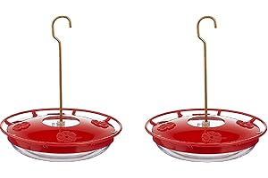 Hummingbird Feeder for Outdoors Hanging, 2 Pack, Leak-Proof, Easy to Clean and Refill, Saucer Humming Feeder for Hummer Birds