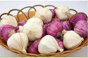 Zzooi Artificial Lifelike Fake Garlic Faux Garlic White and Red 10PCS Totall