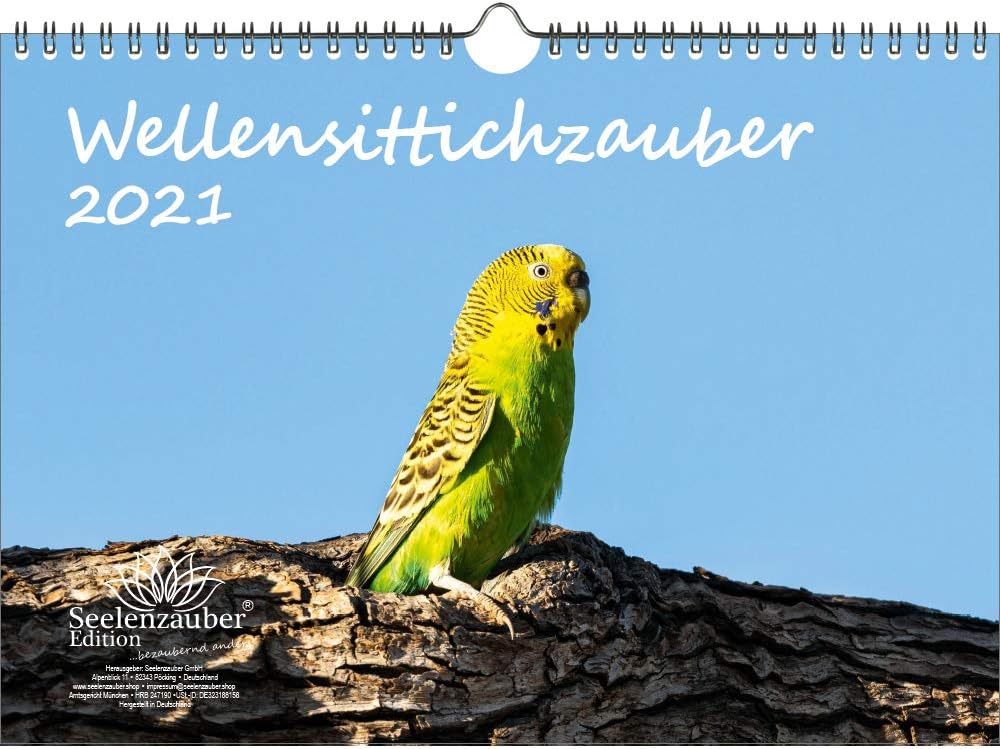 Wellensittichzauber Din A4 Kalender Fur 2021 Wellensittiche Geschenkset Inhalt 1x Kalender 1x Weihnachtskarte Insgesamt 2 Teile Amazon De Burobedarf Schreibwaren wellensittich kalender 2021