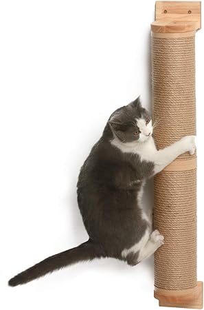 cat scratching post for big cats