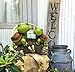 LA JOLIE MUSE Garden Statue Figures Turtles on a Log, 9 Inch Large Resin Patio Lawn yard Indoor Outdoor Decorations, Housewarming Gift