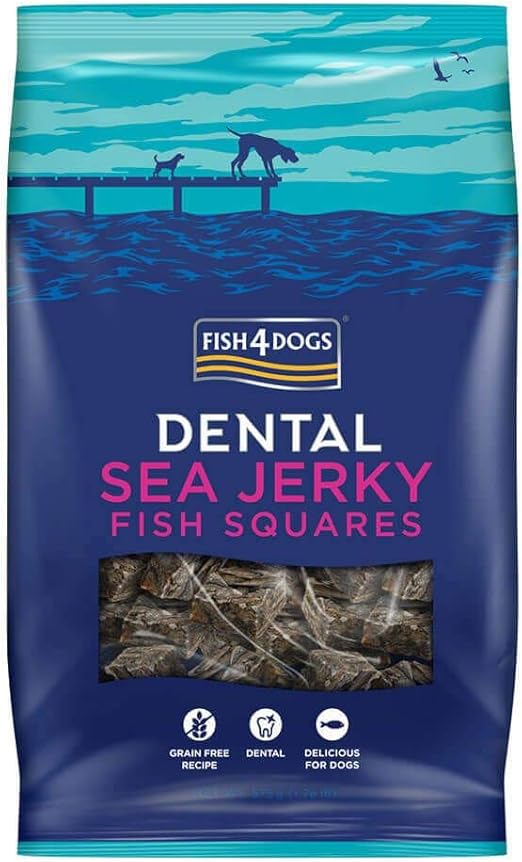 guard dog training equipment