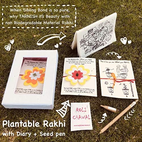 SURPRISE SOMEONE Plantable Seed Rakhi Box with Diary and Pen