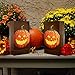 LumaBase 48124 Bags Paper Luminarias, Jack O' Lantern