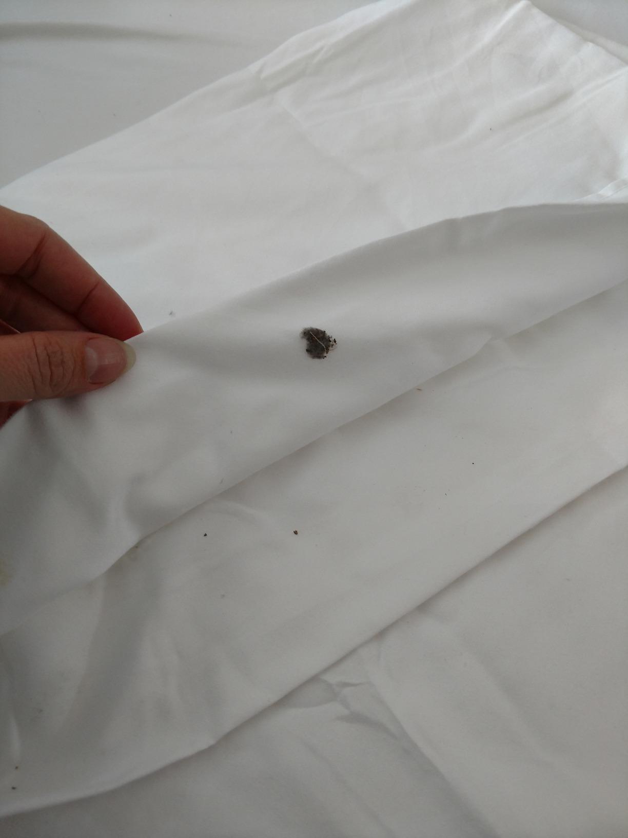 User review photo