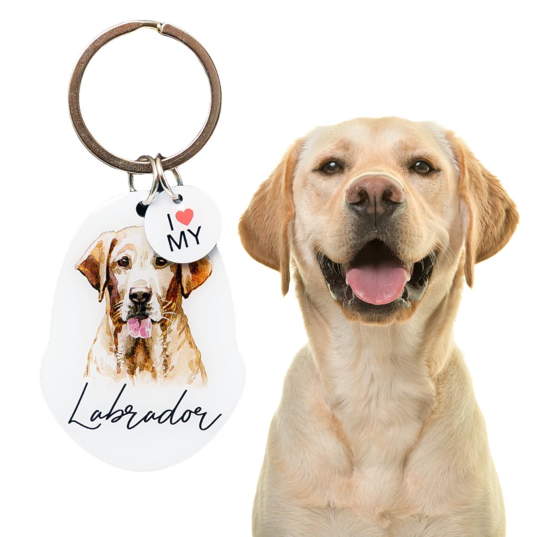 Splosh Pet Keyring Labrador - Personalised Dog Key Ring and Chain - Customised Gifts for Dog Lovers - Key Rings and Tags