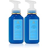 Bath and Body Works Gentle & Clean Foaming Hand Soap 8.75 Ounce 2-Pack (Crisp Morning Air)