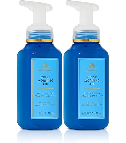 Amazon.com : Bath & Body Works Foaming Hand Soap, Set of 2, 8.75oz