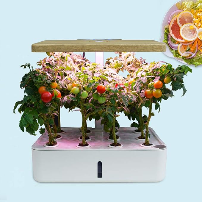 InLoveArts Sistema de Cultivo hidropónico Jardín Inteligente con riego