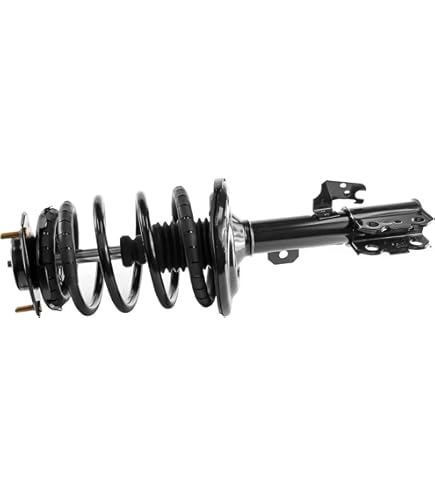 Amazon.com: Monroe Quick-Strut 272385 Suspension Strut and Coil