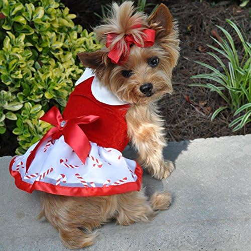 Doggie Design Holiday Dog Harness Dress Skirt with Matching Leash