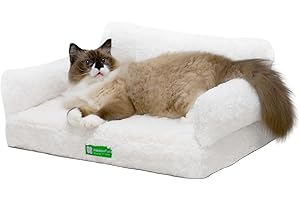 MEWOOFUN Cat Bed for Indoor Cats Orthopedic Dog Bed for Small Medium Dogs, Egg- Foam Pet Bed with Removable Washable Cover and Non-Slip Bottom (Medium, Beige)