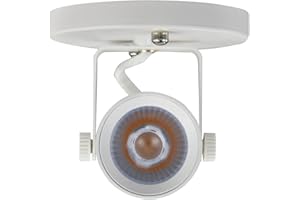 Arcfox 9W 4000K LED Flush Mount Ceiling Spotlight Fixture Adjustable Round Monopoint Light Fixture for Living Room Bedroom Shop Accent Task Lighting