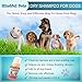Mindful Pets Dry Dog Shampoo - Waterless Foam Mousse - Best Natural No Rinse Shampoo - Made in USA, 8oz