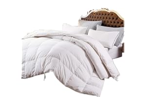 ZOOM LUAN Heavy Duty Down Comforter Queen Size Duvet Insert 100% Cotton Shell Down Proof, White with Corner Tabs (White,Queen)