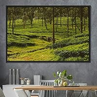Framed Canvas Wall Art Rustic Woods Brown Dark Dramatic Forest Group Nature Photography Realism - 16x24 inches