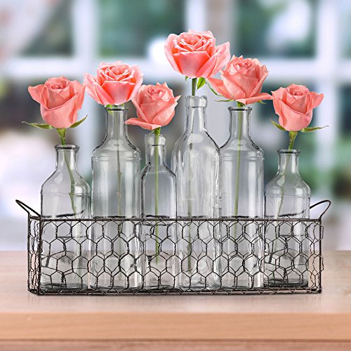 Bud Flower Vases In Chicken Wire Basket for Window-Sill Display, Decorative Storage, Party or Wedding Centerpiece - Clear Glass 6-piece Assorted Home Decor Set