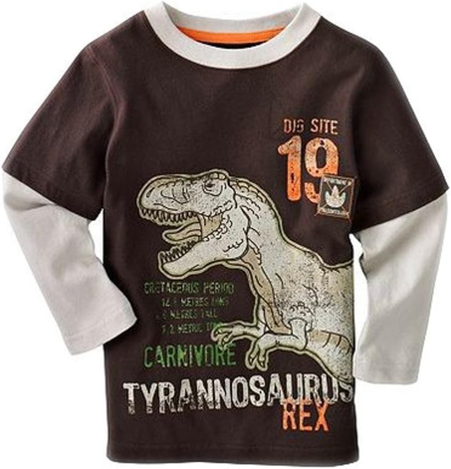 Canvos Baby Boys Dinosaur Long Sleeve T-shirts Toddler Cotton Shirts Tops Brown