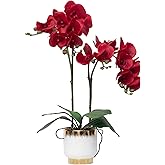 CXGS Orchids Artificial Flowers Real Touch Fake Flowers in Ceramic Pot 20" Red Faux Orchid Plant Lifelike Silk Phalaenopsis for Centerpiece Hotel Home Indoor Decor