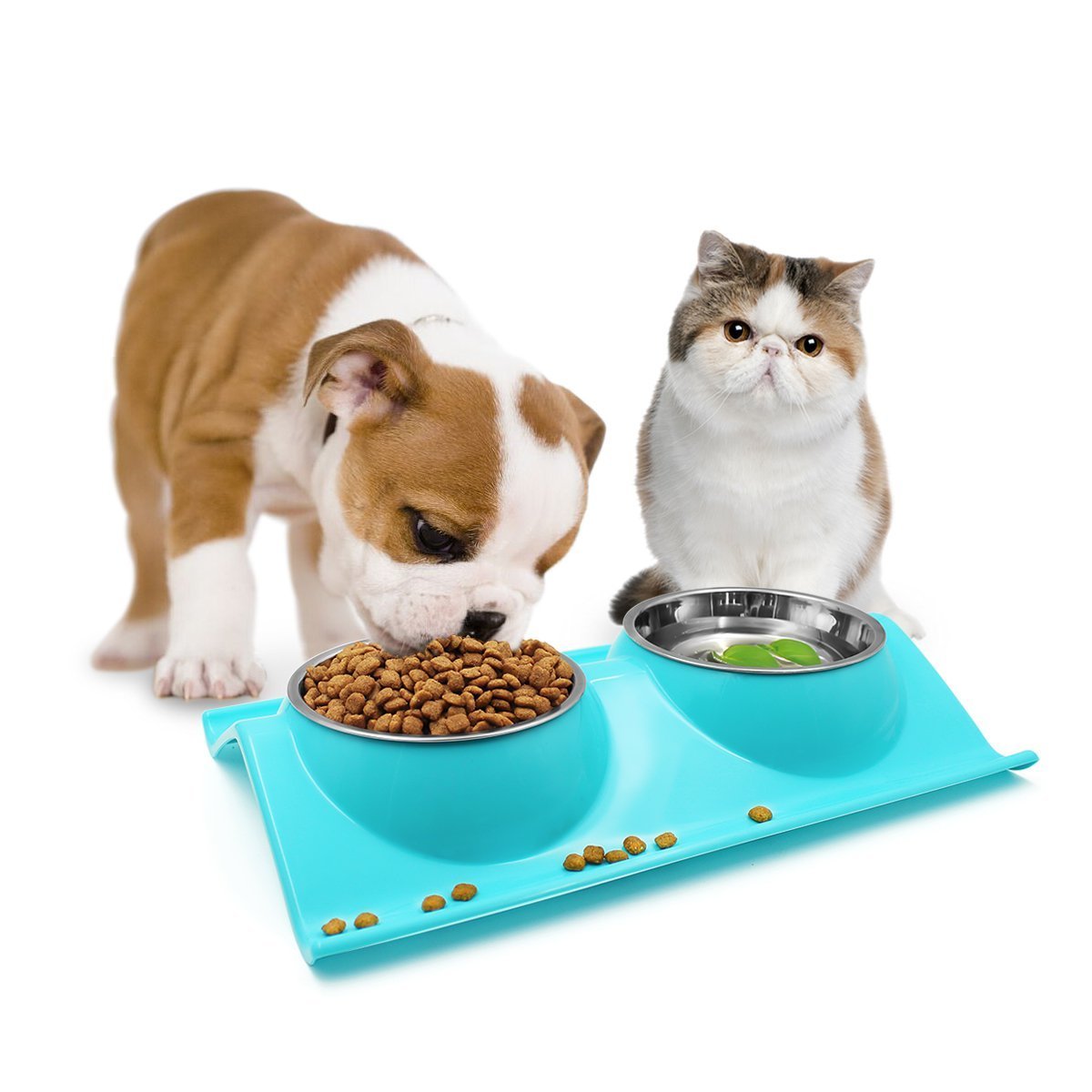 Pet Bowl Double Dog Cat Stainless Steel Bowls with No-Spill Non-Skid Mat