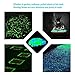Sunnest 200 Pcs Glow in the Dark Garden Pebbles for Walkways/Garden/Path/Fish Tank/Aquarium, Decorative Stones(Green &Blue)