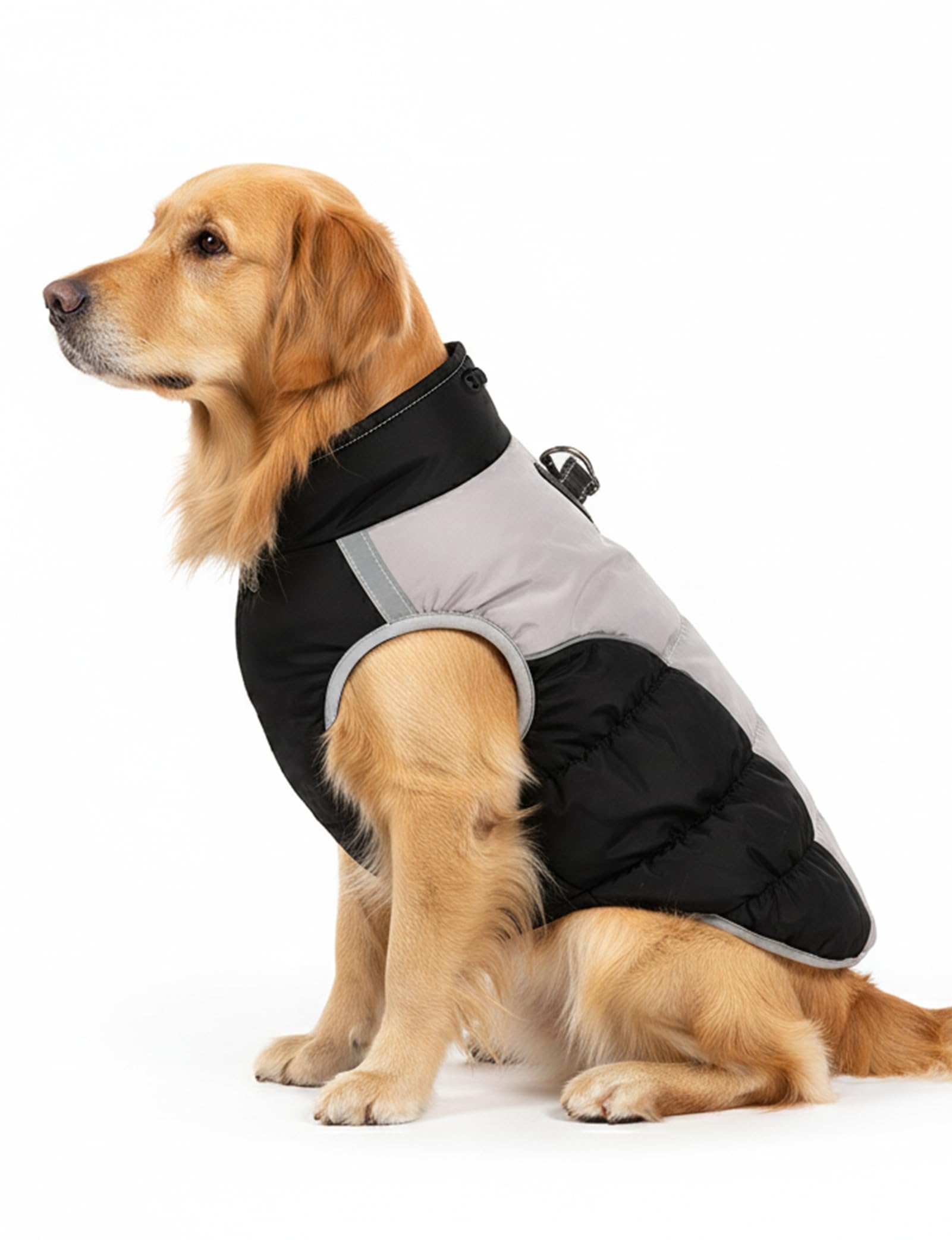 Photo 1 of AURUZA Dog Coat, Warm Dog Winter Coat Waterproof Small Dogs Jacket with Harness Built Reflective Pet Vest with Zipper for Medium Dogs Windproof Pet Fleece Puffer Vest Snow Jacket for Cold Weather