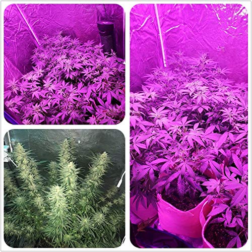 LED Grow Light Full Spectrum, 150W Relassy Waterproof COB LED Grow Light with Natural Heat Dissipation and Without Noise Perfect for Outdoor/Indoor Plants All Growing