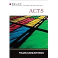 Acts: A Theological Commentary on the Bible (Belief: a Theological Commentary on the Bible)