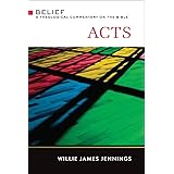 Acts: A Theological Commentary on the Bible (Belief: a Theological Commentary on the Bible)
