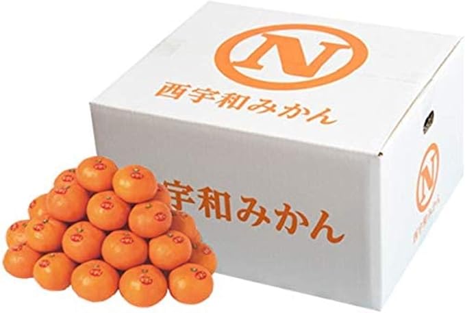 Amazon 真穴みかん レギュラー 10kg Lまたはmサイズ いずれかのお届け 指定不可 真穴共選 真穴みかん みかん 柑橘類 通販