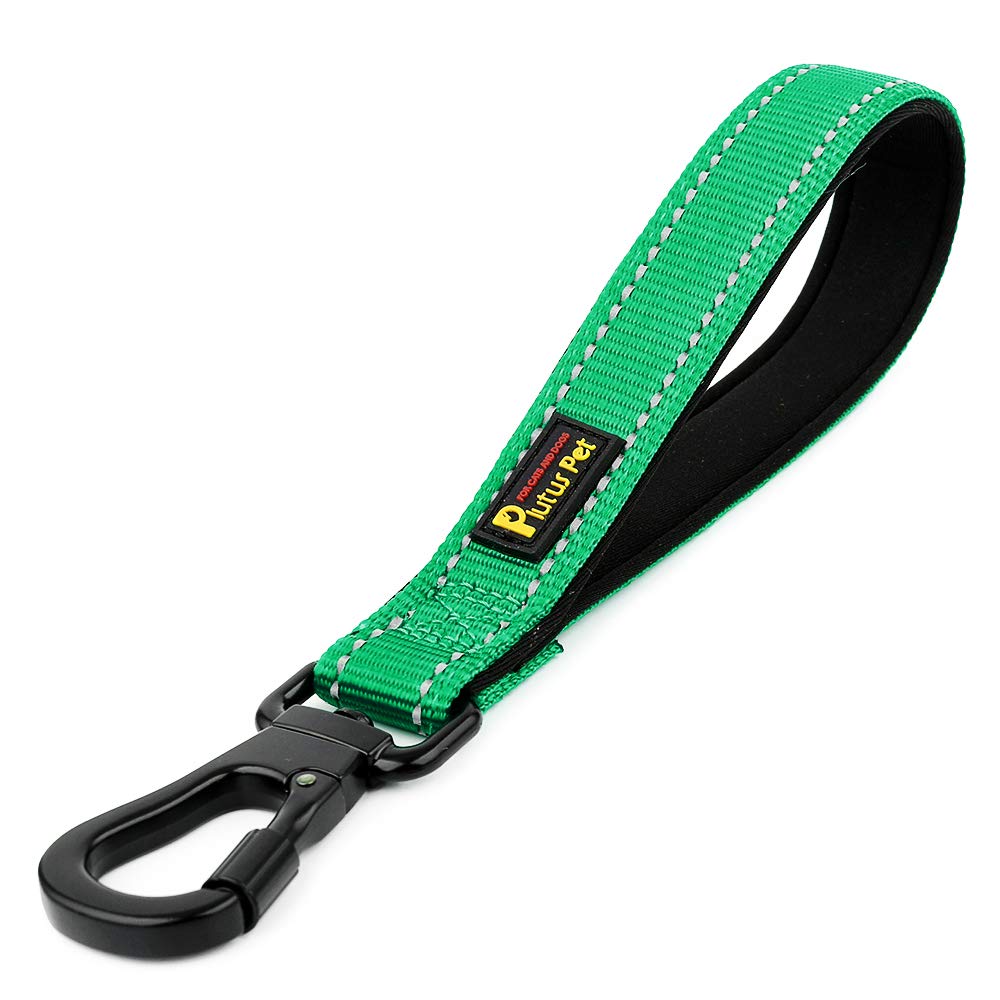 PLUTUS PET Strong Training Dog Lead with Rock Climing Carabiner Clip, Relective Nylon Dog leash Padded Handle, Training Lead for Large and Medium Dogs(25cm,Green)