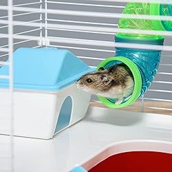Extra Large 23" Multi-Tiers Easy Setup Hamster