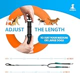 SparklyPets Double Dog Leash for 2 Dogs Teal Medium/Large Meets 360° Rotation view 5