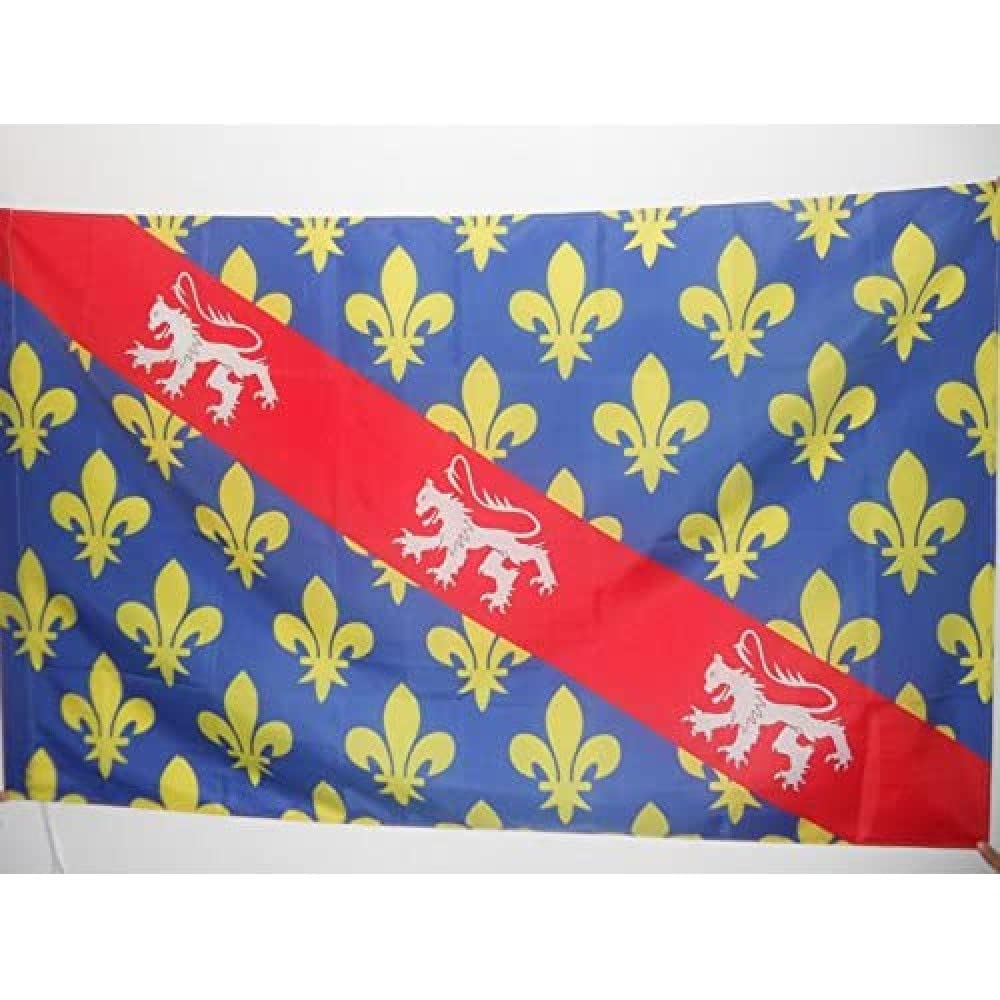 AZ FLAG - French Province of Marche Flag - 3x5 Ft - County of Marche Banner with Sleeve - 100% Polyester - Fade Resistant - Vivid Colors - 3' x 5' Feet - 150x90 Cm
