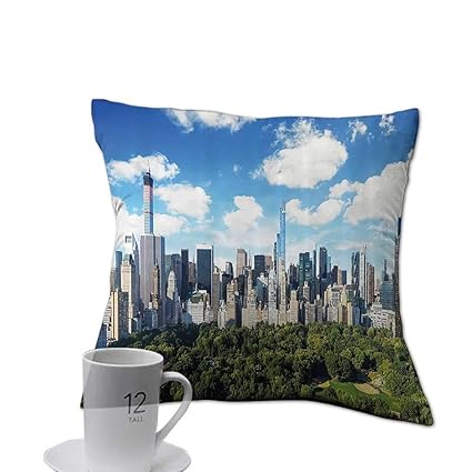  Decorative Square Accent Pillow Case Nyc Decor