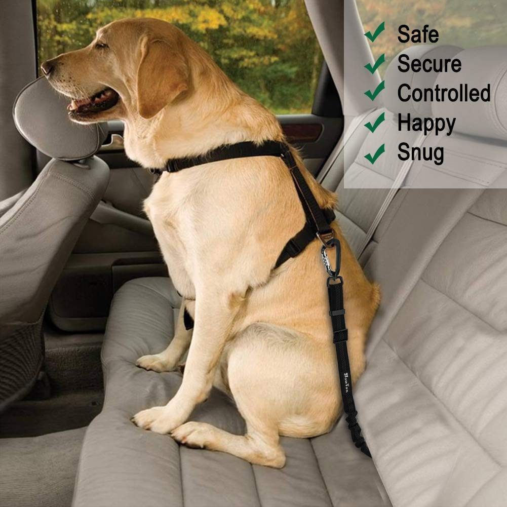 Slowton Dog Seatbelt, Pet Car Seat Belt Latch Bar Attachment Lockable Swivel Carabiner Small Medium Large Dogs Adjustable Elastic Bungee Safety Belt Reflective Stitching Connect (Black)
