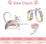 Pinenuts Cat Harness and Lead Set Adjustable Escape Proof Rainbow Kitten Harness view 2
