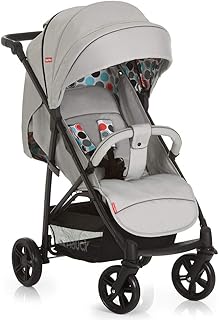 Fisher-Price Sportwagen Toronto 4 - Komfortabler Buggy Kinderwagen mit Liegefunktion, höhenverstellbarem Schieber und Sonnenverdeck | mit Babyschale kombinierbar - Grau