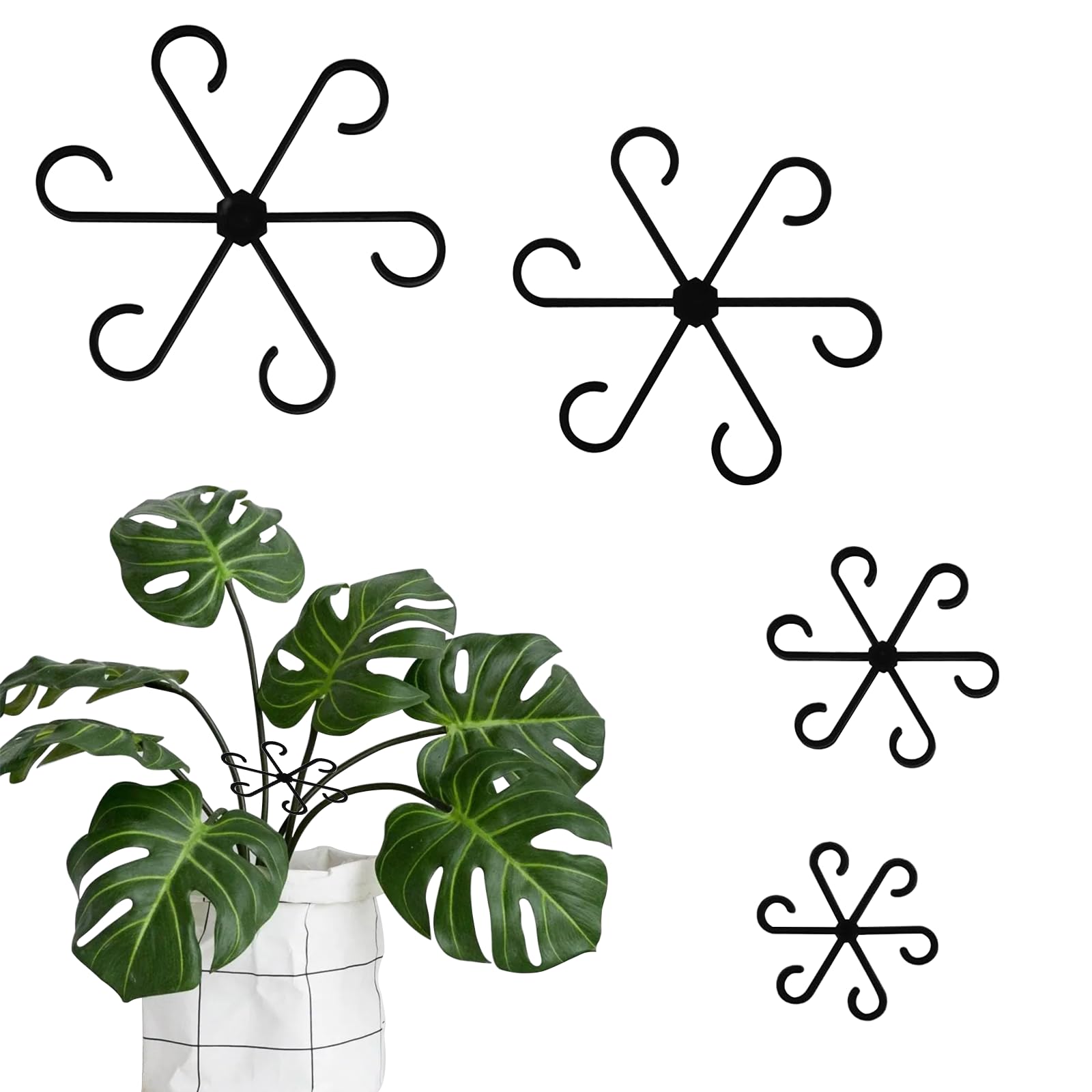 BEELUKY Pack of 16 Plant Support, Shrub Holder, Plant Holder, Plant Supports, Multiple Sizes, Garden Support Ring, Plant Clips to Support for Plants, Flowers, Roses, Tomatoes (Black)