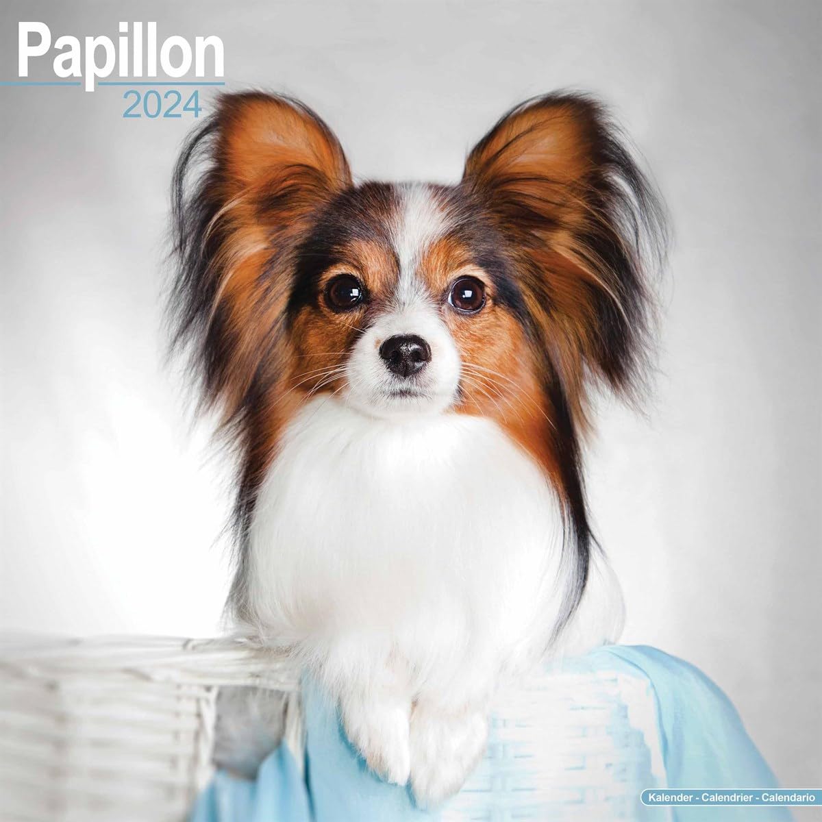 Papillon Calendar 2024 | Square Dog Breed Wall Calendar - 16 Month