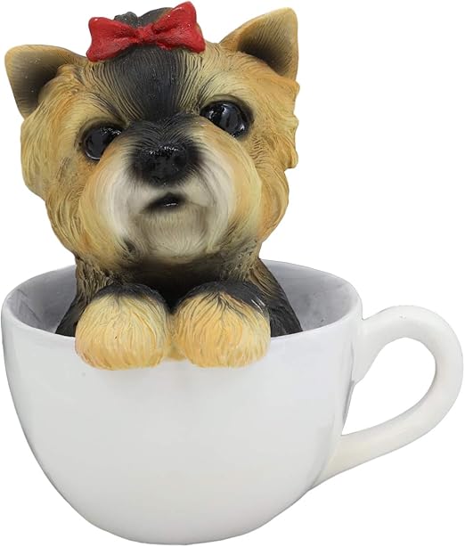 pedigree yorkshire terrier