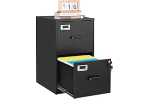 Letaya 2 Drawer File Cabinet with Lock,Metal Office Small Filing Cabinets for Home Office,Storage Letter,Black-Easy Assemble
